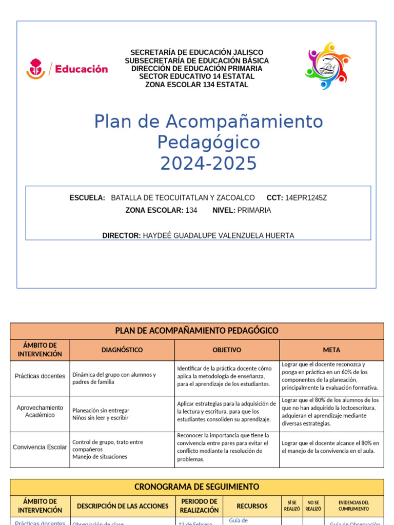 Plan de Acompañamiento 2024-2025 | PDF | Enseñando | Educación primaria
