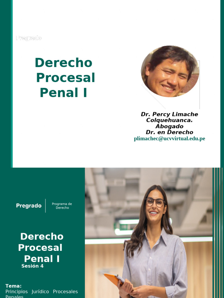 4 Principios Procesal Penal 2023 | PDF | Ley procesal | Debido al proceso