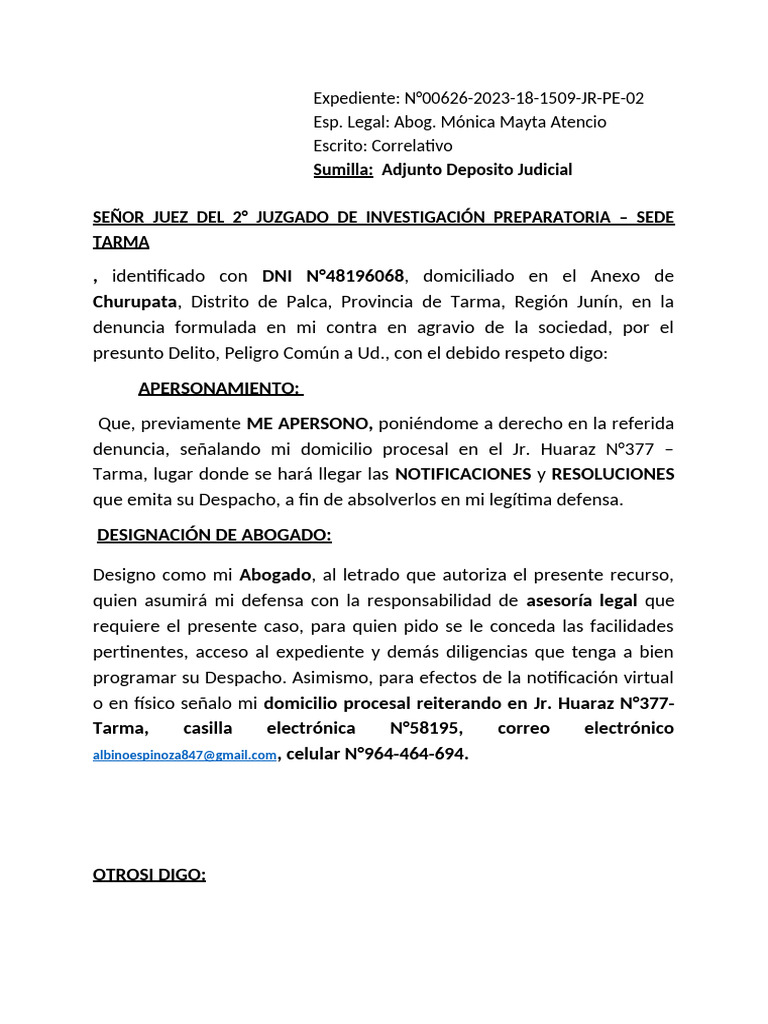 Documento 17 | PDF