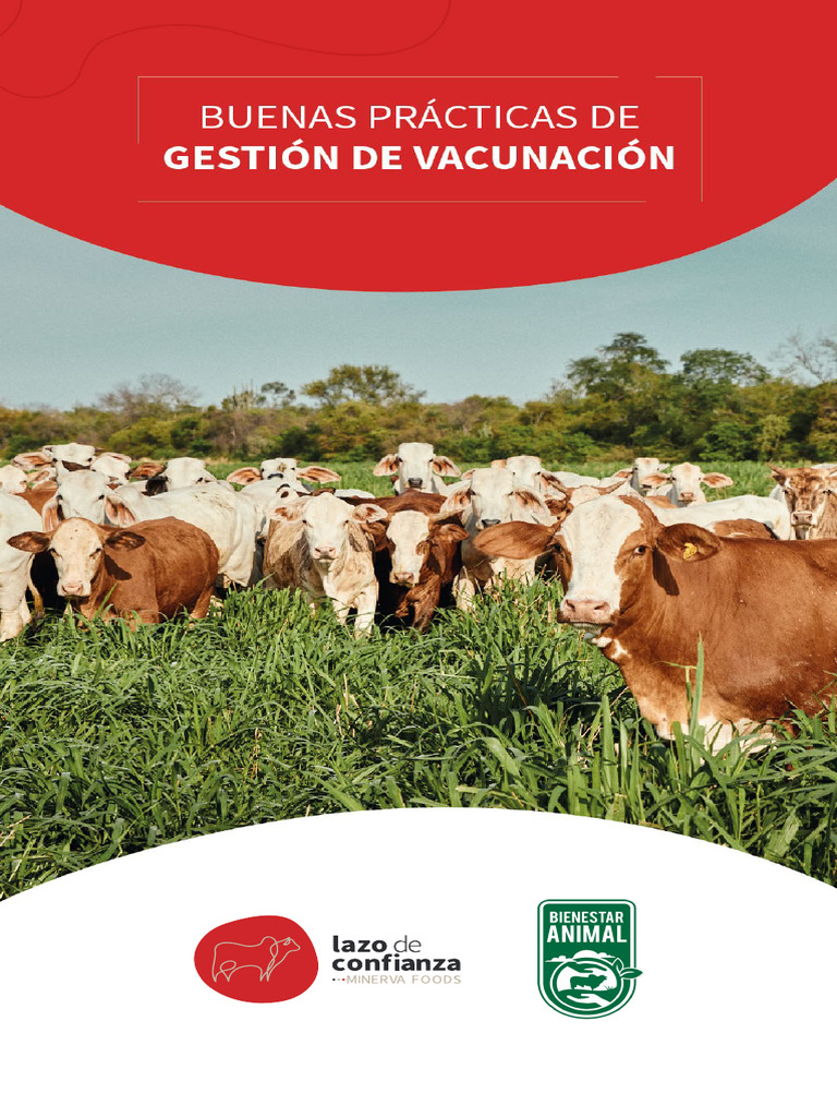 Manual de Buenas Practicas de Vacunacion | PDF | Inyección (medicina