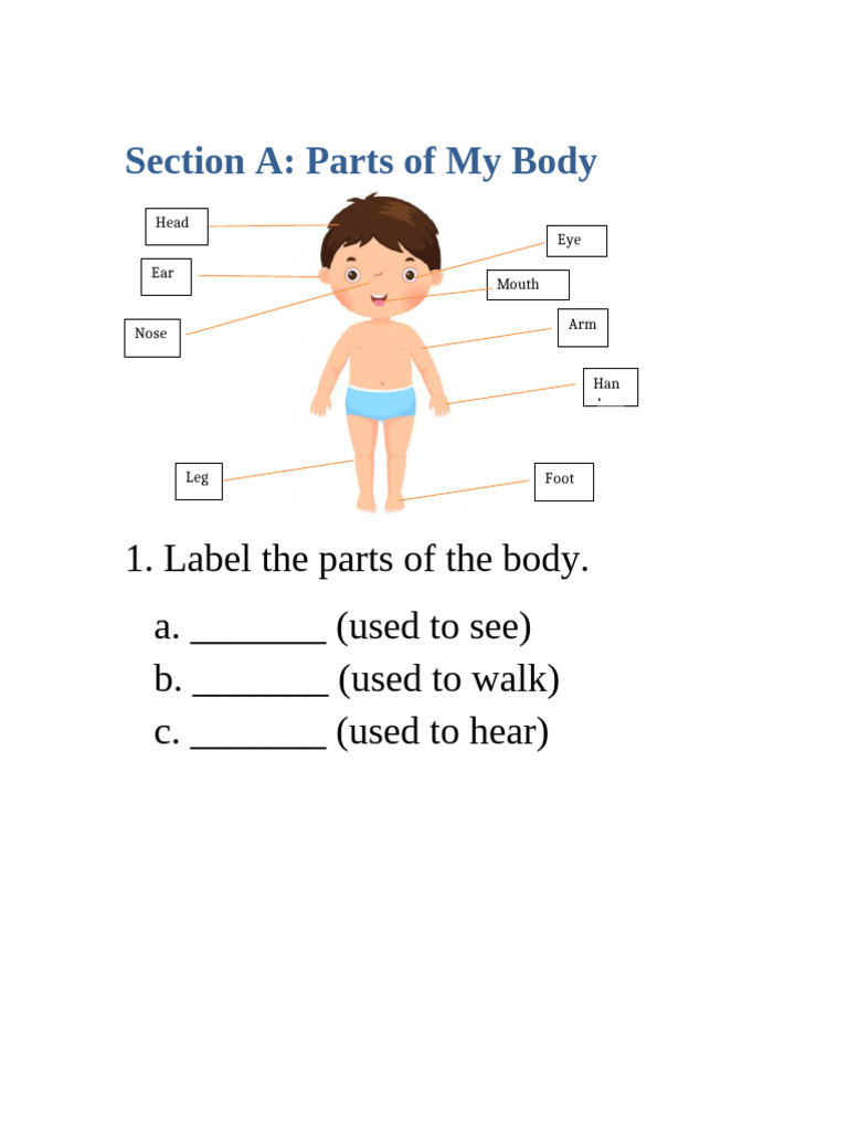 Grade 1 Science Exam Review | PDF