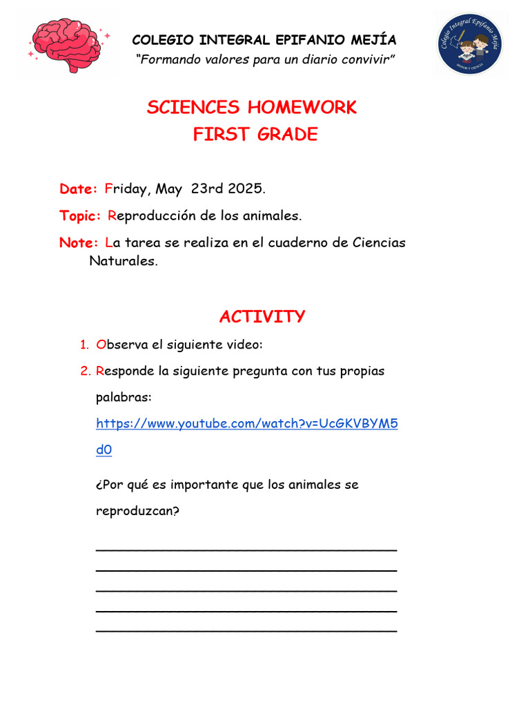 1° Sciences Homework - 23 05 | PDF