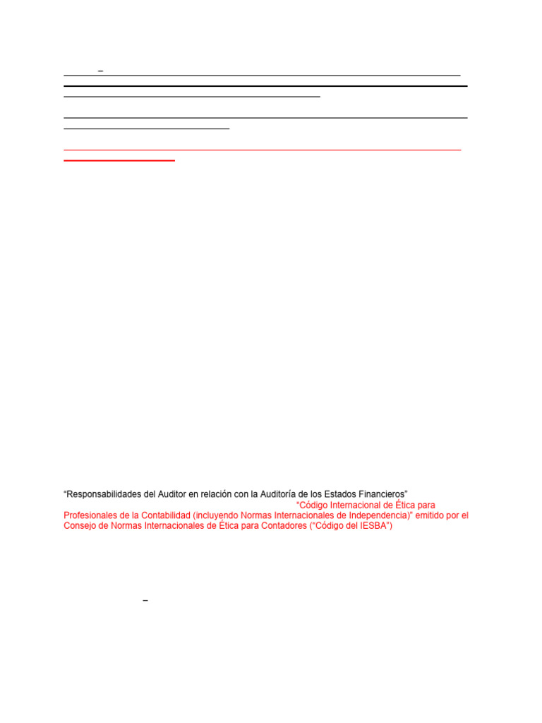 Informe del Auditor Independiente 2024 | PDF | Auditoría | Contabilidad