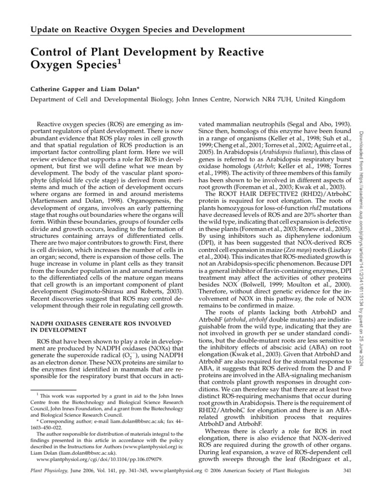 ROS in Plant Development Control | PDF | Reactive Oxygen Species | Root