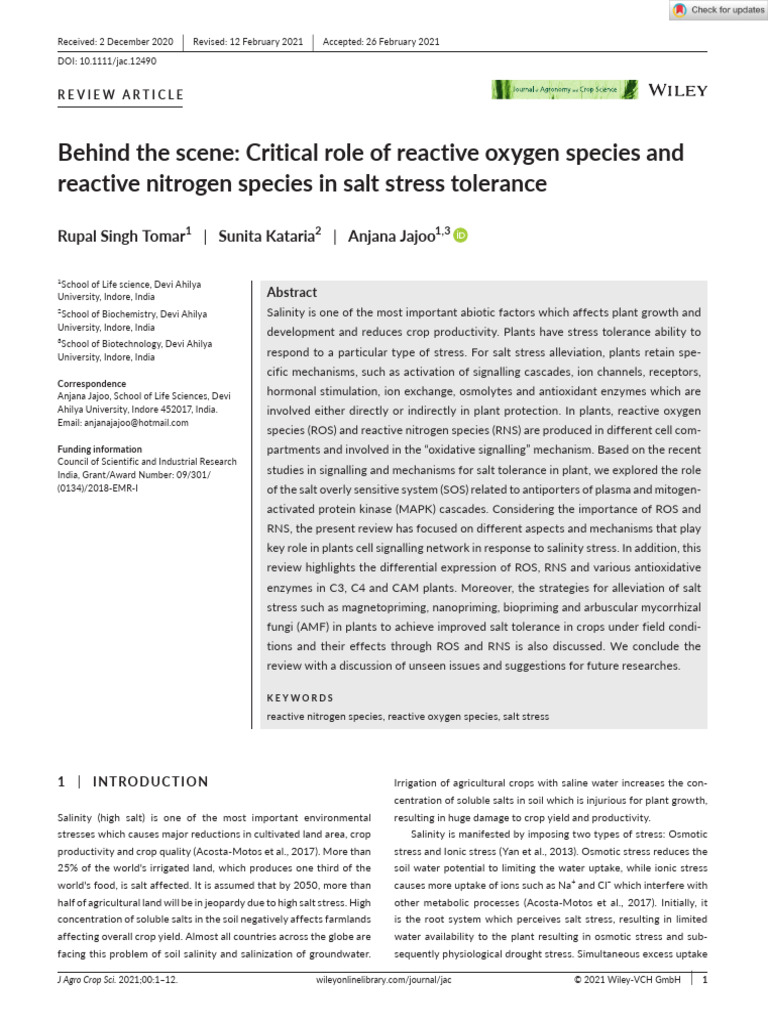 Role of ROS and RNS in Salt Stress Tolerance | PDF | Reactive Oxygen ...