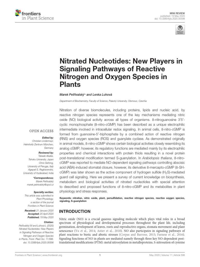 Nitrated Nucleotides, New Players in Signaling Pathways of Reactive ...