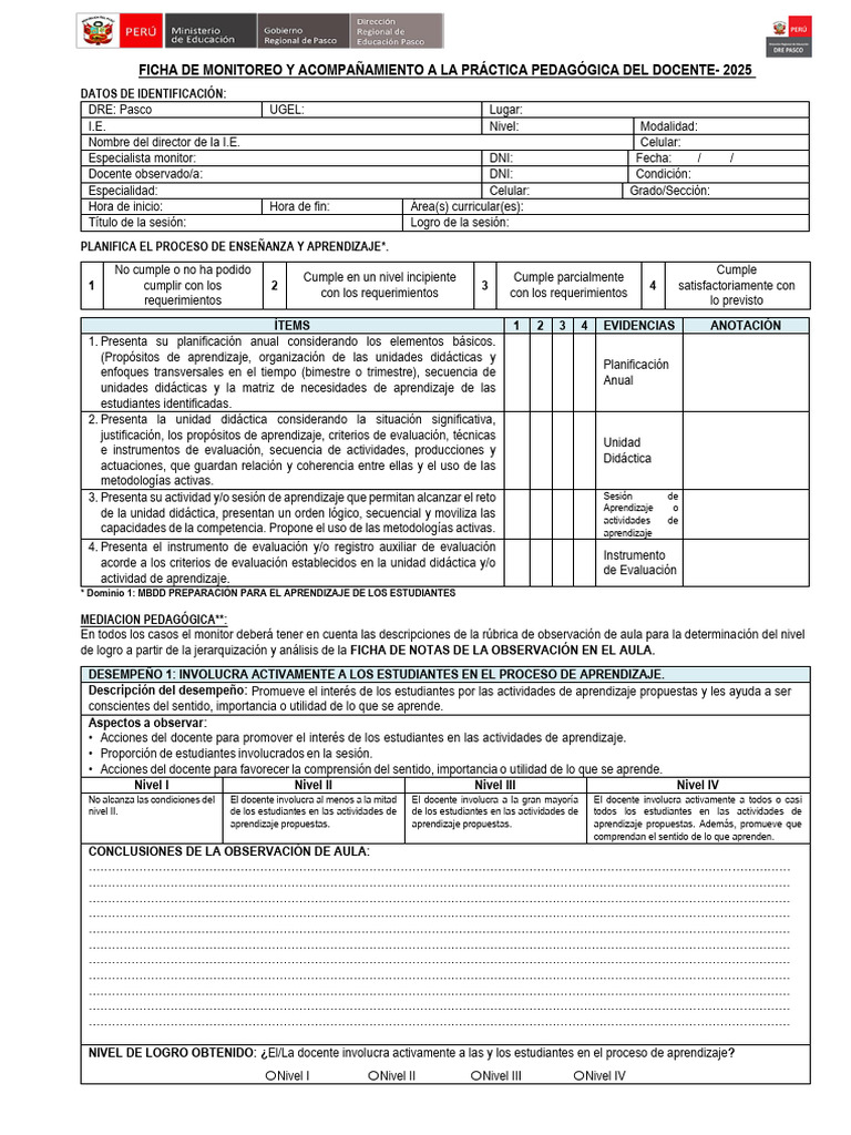 Ficha de Monitoreo Docente 2025 | PDF | Evaluación | Aprendizaje