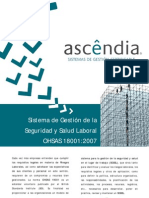 Sistema de Gestión de Seguridad y Salud Laboral - Norma OHSAS 18001