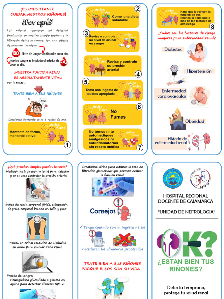 Triptico DIA MUNDIAL DEL RIÑON 2025 | PDF | Riñón | Especialidades Medicas