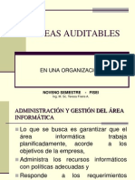 ÁREAS AUDITABLES Clase2