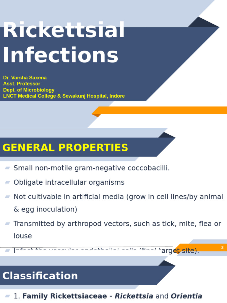 Overview of Rickettsial Infections | PDF | Immunology | Microbiology
