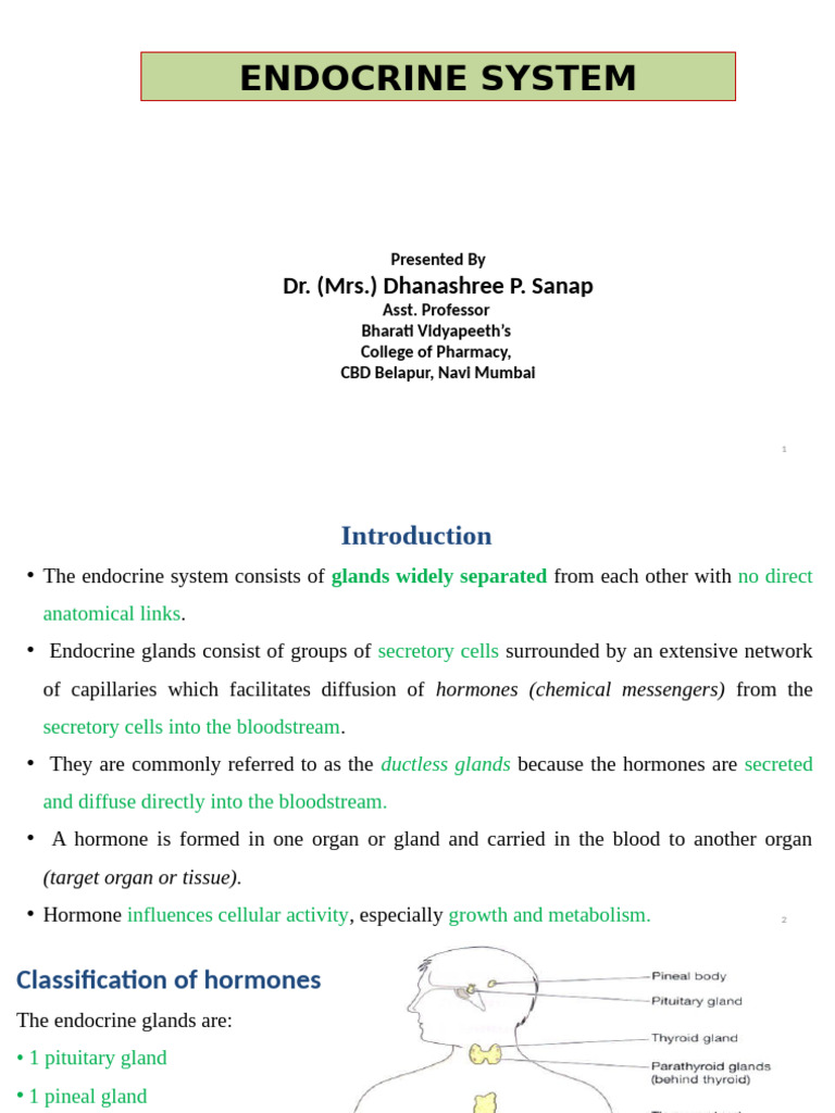 Overview of the Endocrine System | PDF | Adrenal Gland | Thyroid