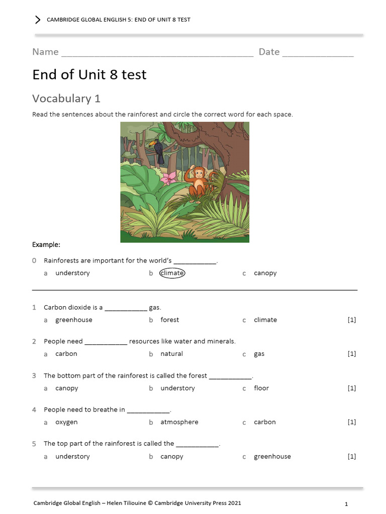 End of Unit 8 Vocabulary and Grammar Test | PDF | Canopy (Biology ...
