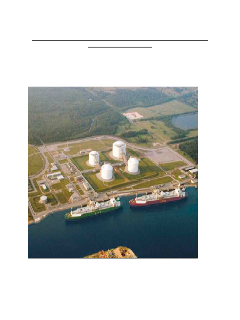 LNG Final Report | PDF | Liquefied Natural Gas | Natural Gas