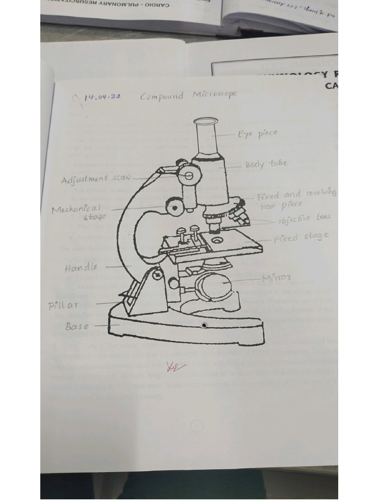 Physiology Practical 1 | PDF