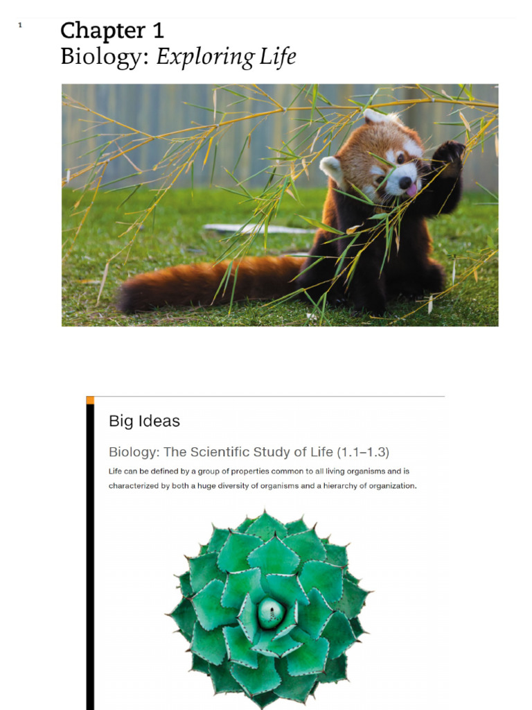 Biology Text | PDF