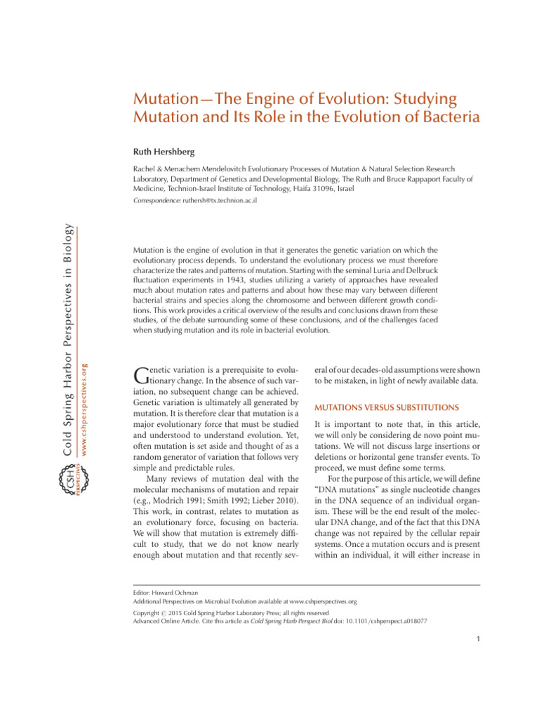 Mutation's Role in Bacterial Evolution | PDF | Mutation | Evolution