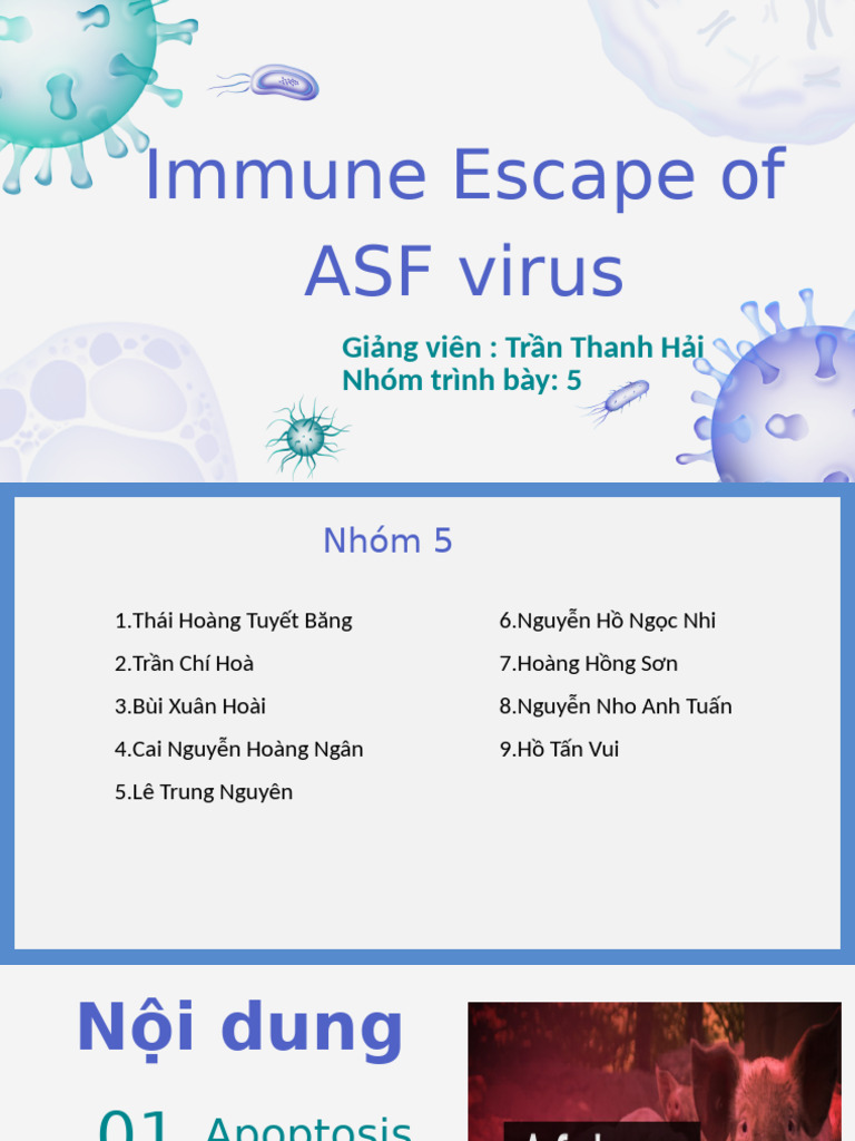 Immune ASF | PDF