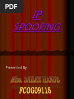 Ip Spoofing