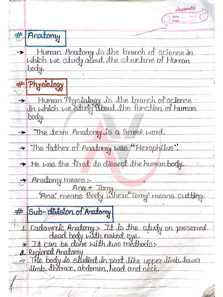 HA Lab Anatomy (2) 240809 083011 | PDF