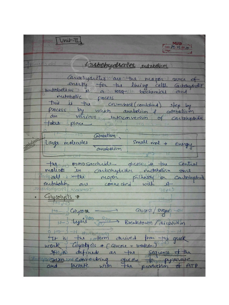 Unit 2 Biochemistry PDF Biology Cellular Processes