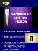 Anatomy of Maxillary Central Incisor | PDF | Dental Anatomy | Dentistry ...