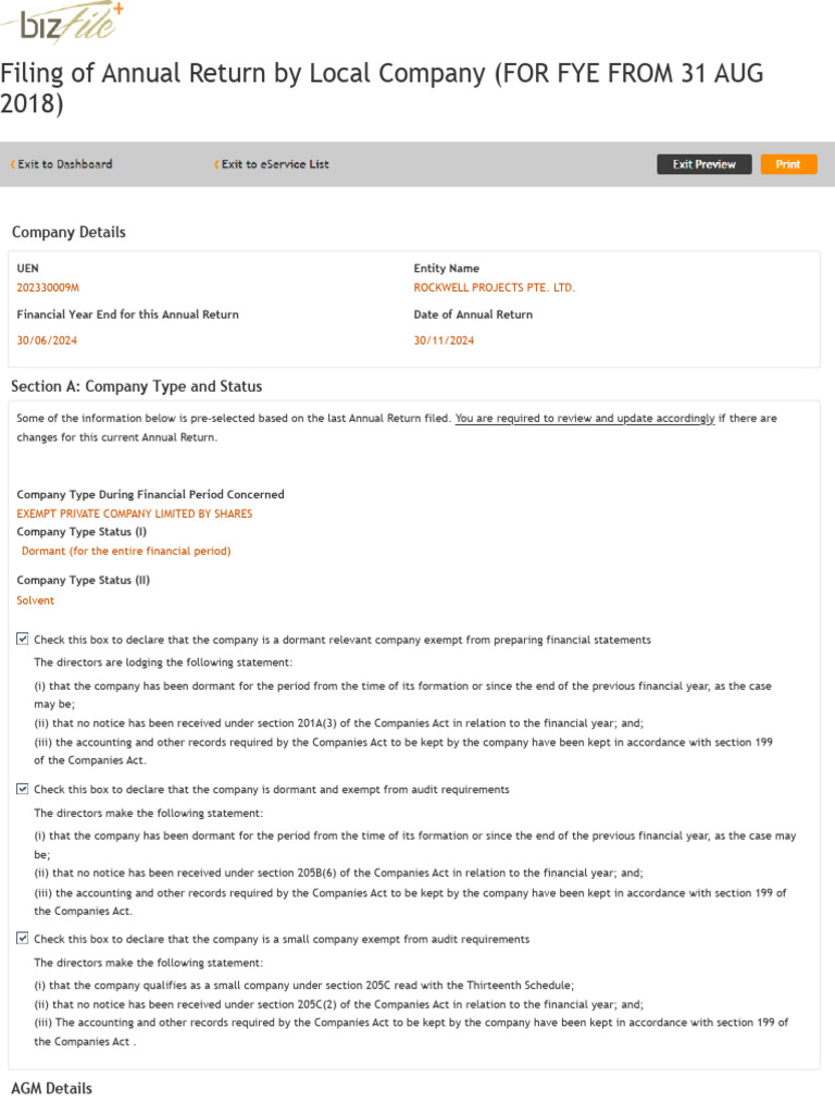 Dormant Company Annual Return Guidelines | PDF | Business | Corporations