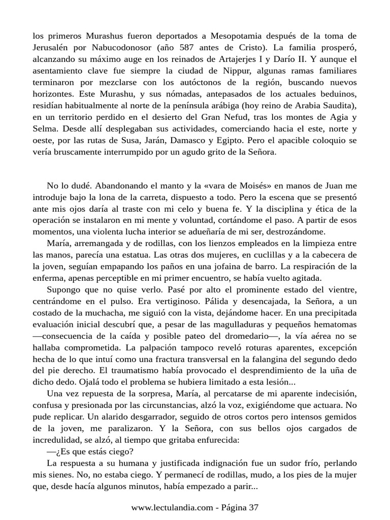 Murashus: Historia y Desafíos en Nippur | PDF