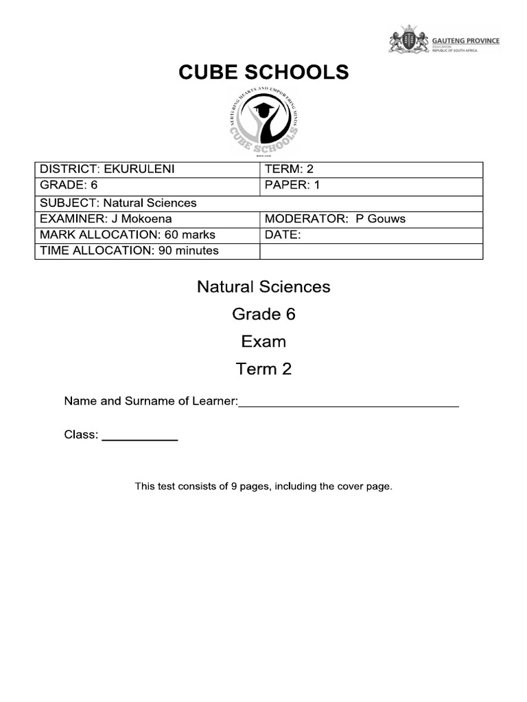 2024 Grade 6 June NST Exam | PDF