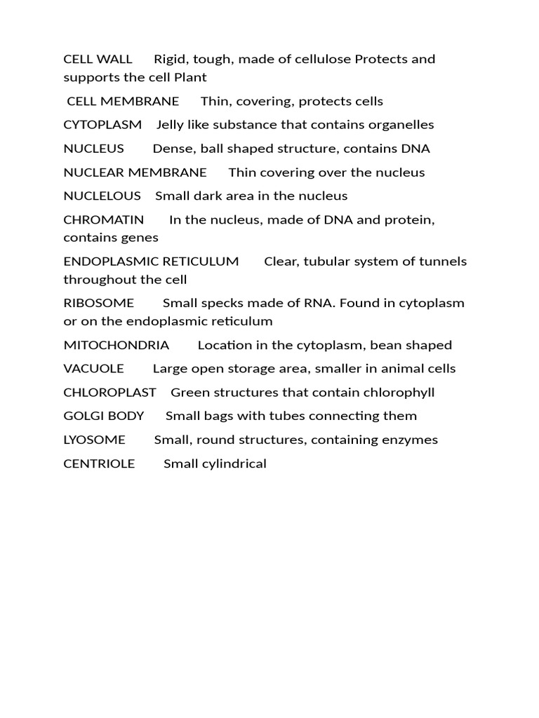Cell Wall Rigid | PDF