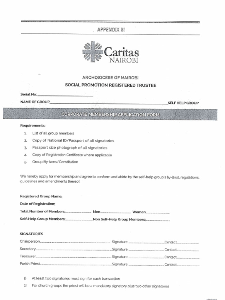 Corporate Group Form | PDF