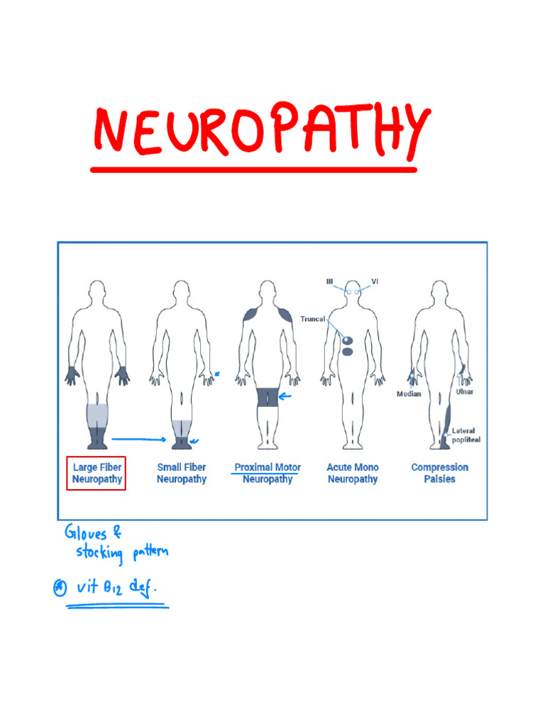 Understanding Neuropathy Symptoms and Types | PDF | Peripheral ...
