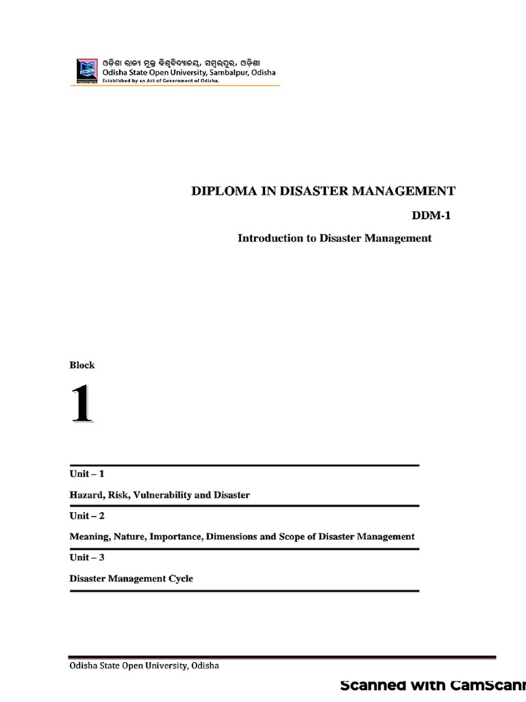 Disaster Management | PDF