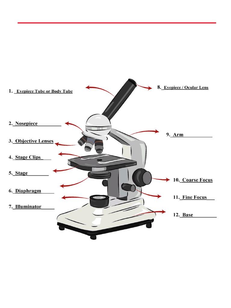Physiology Lab Instruments Overview | PDF