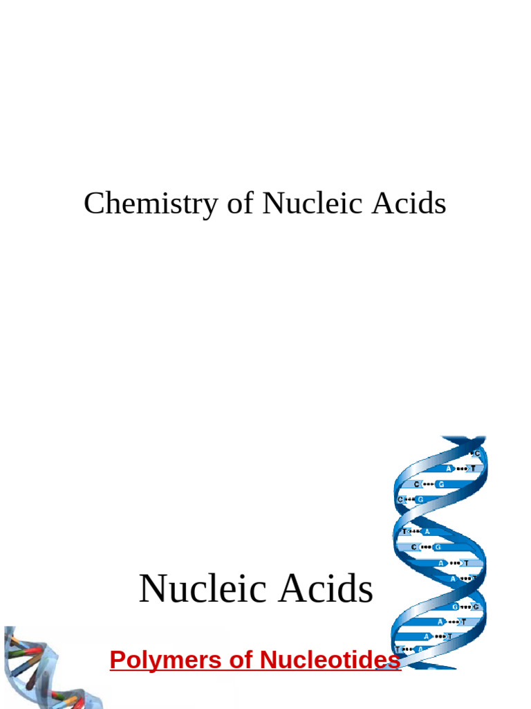 Chemistry of Nucleic Acids - Oct 2023 | PDF | Nucleotides | Dna