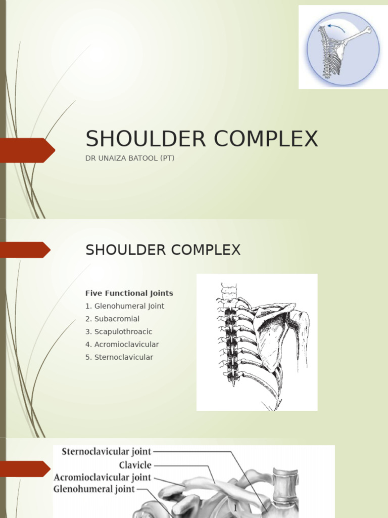 Biomechanics of Shoulder-1 | PDF | Anatomical Terms Of Motion | Shoulder