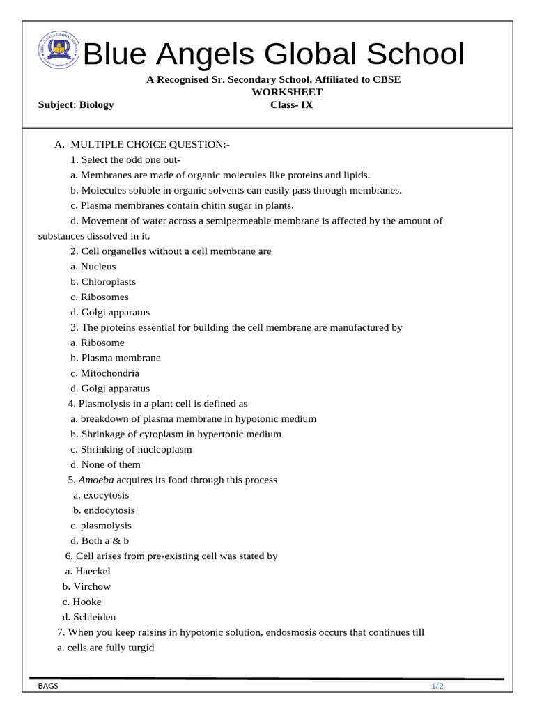 Worksheet Class 9 Science | PDF | Cell (Biology) | Cell Membrane