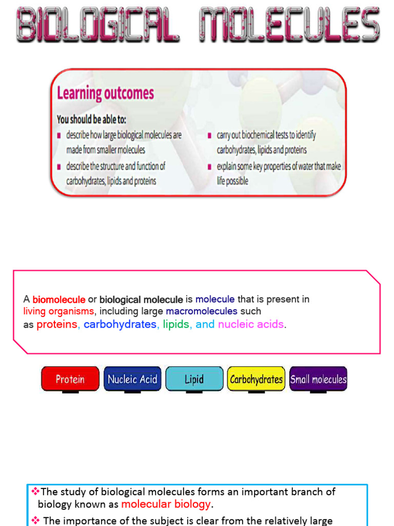 Overview of Biological Molecules | PDF | Carbohydrates | Fatty Acid