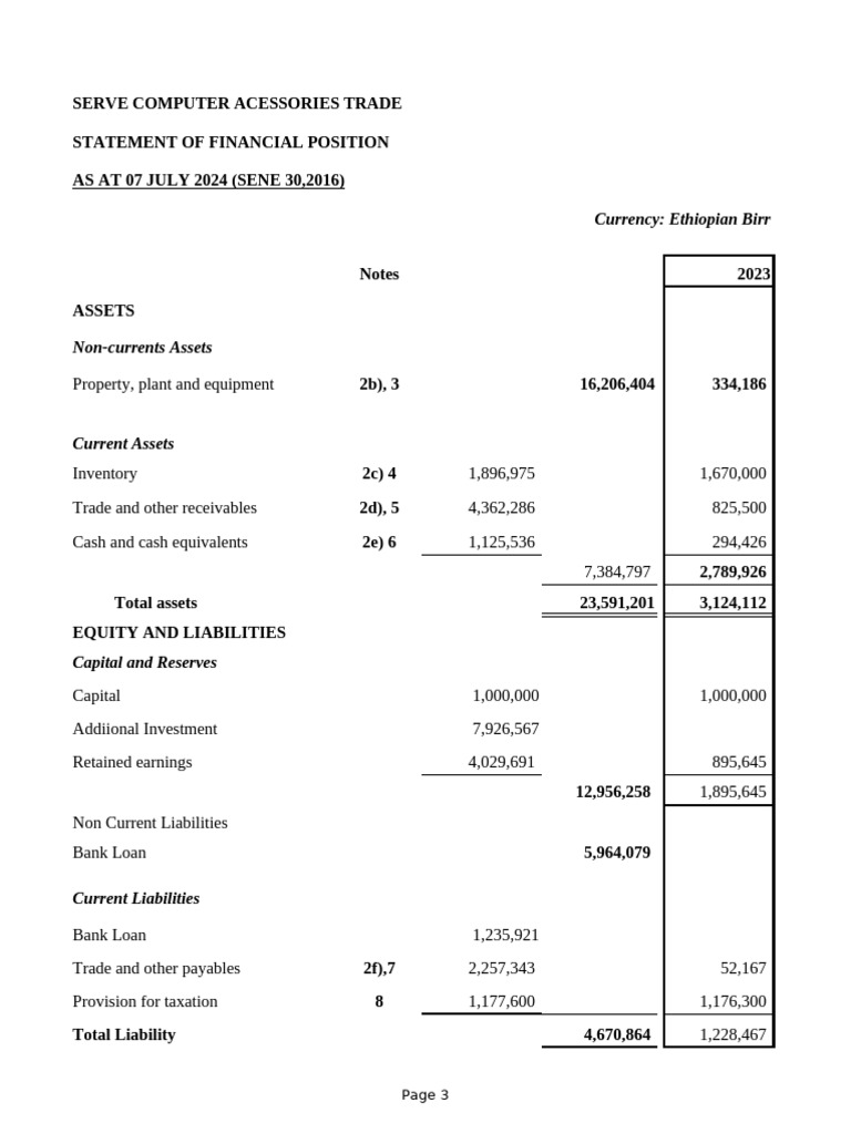 Serve Computer Accessories Trade Financials | PDF | Balance Sheet | Expense