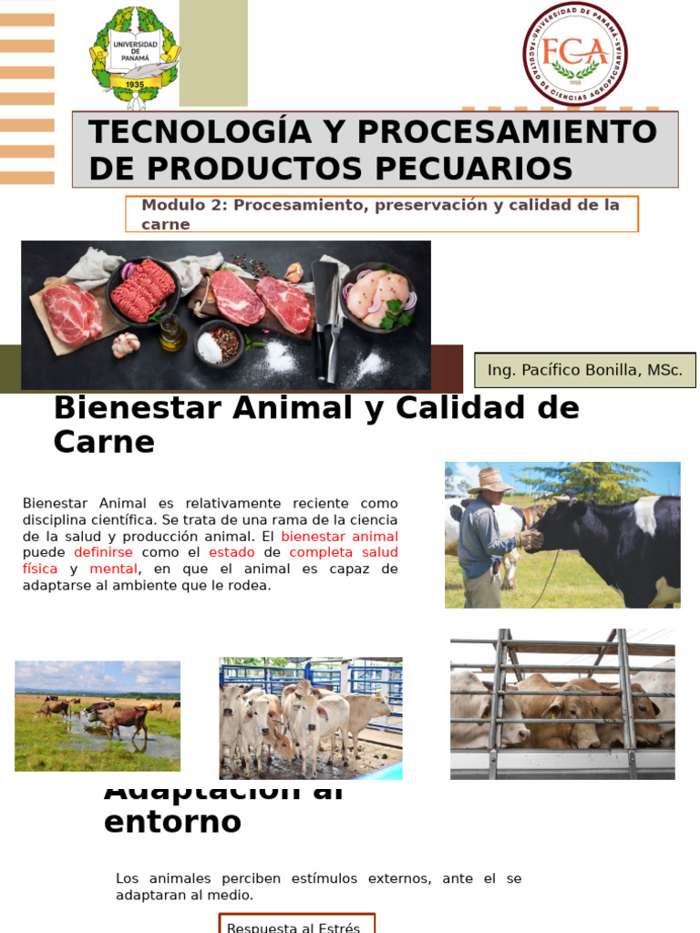 Bienestar Animal y Calidad de Carne | PDF | Curado (Conservación de ...