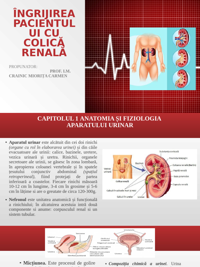 Ingrijirea Pacientului Cu Colica Renala | PDF
