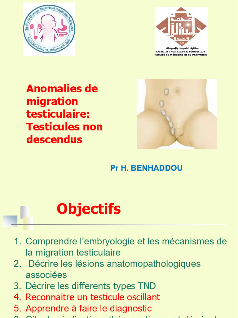 Anomalies de migration testiculaire | PDF | Testicule | Médecine clinique