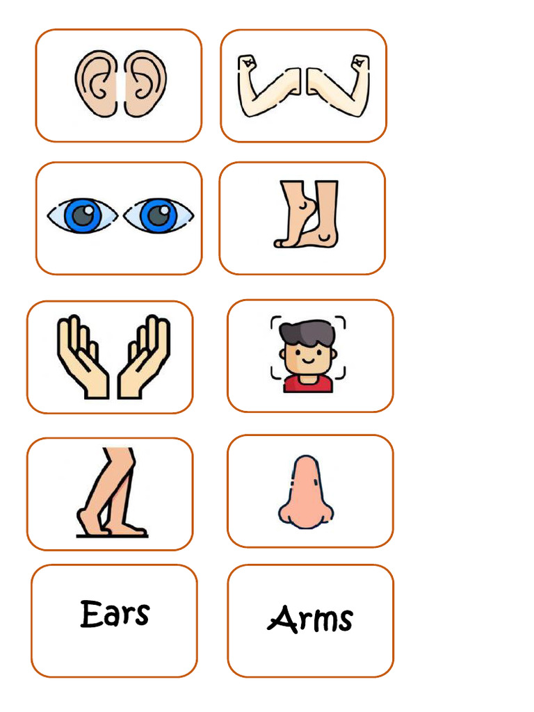 Flash Cards Open Up 1 and 2 Unit 3 | PDF