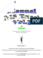 Excel Manual (Romana)