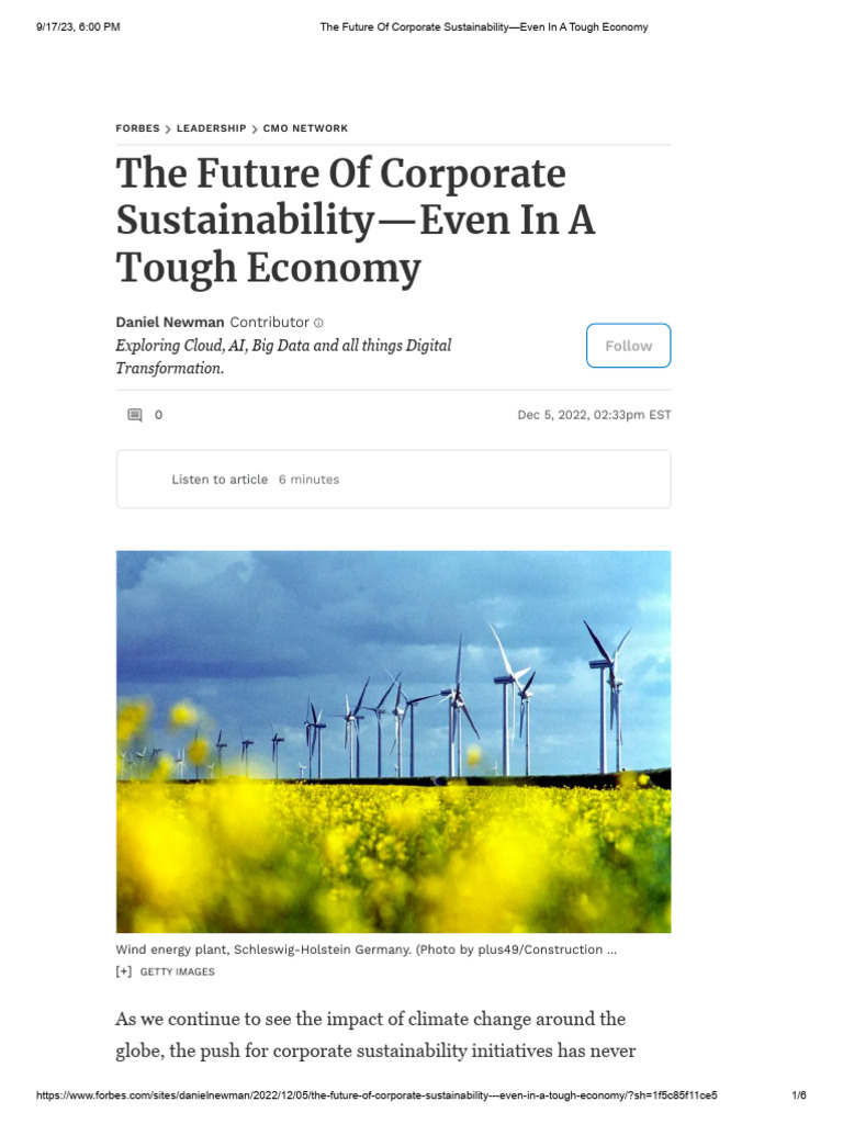 The Future of Corporate Sustainability-Even in A Tough Economy | PDF ...