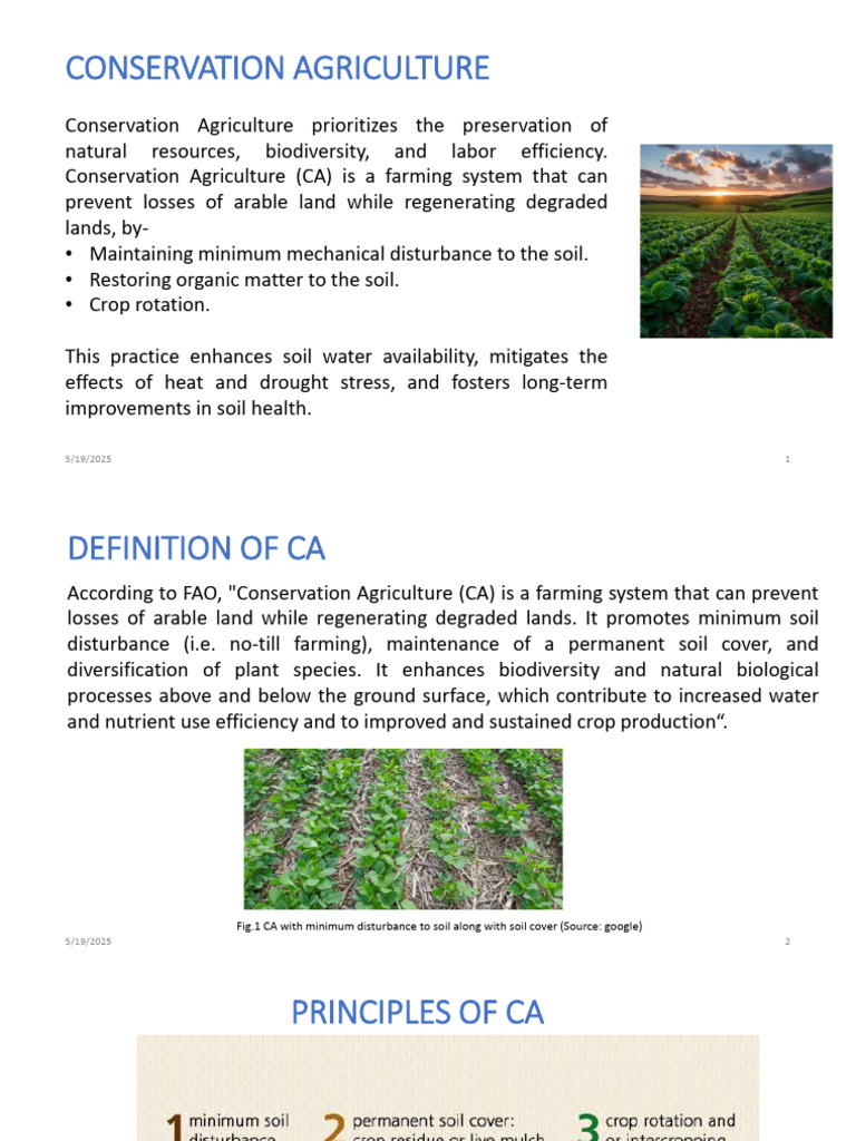 Conservation Agriculture | PDF | Agriculture | Crop Rotation