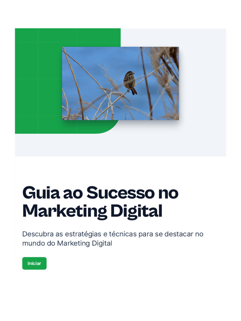 Guia Completo de Marketing Digital | PDF | SEO | Marketing