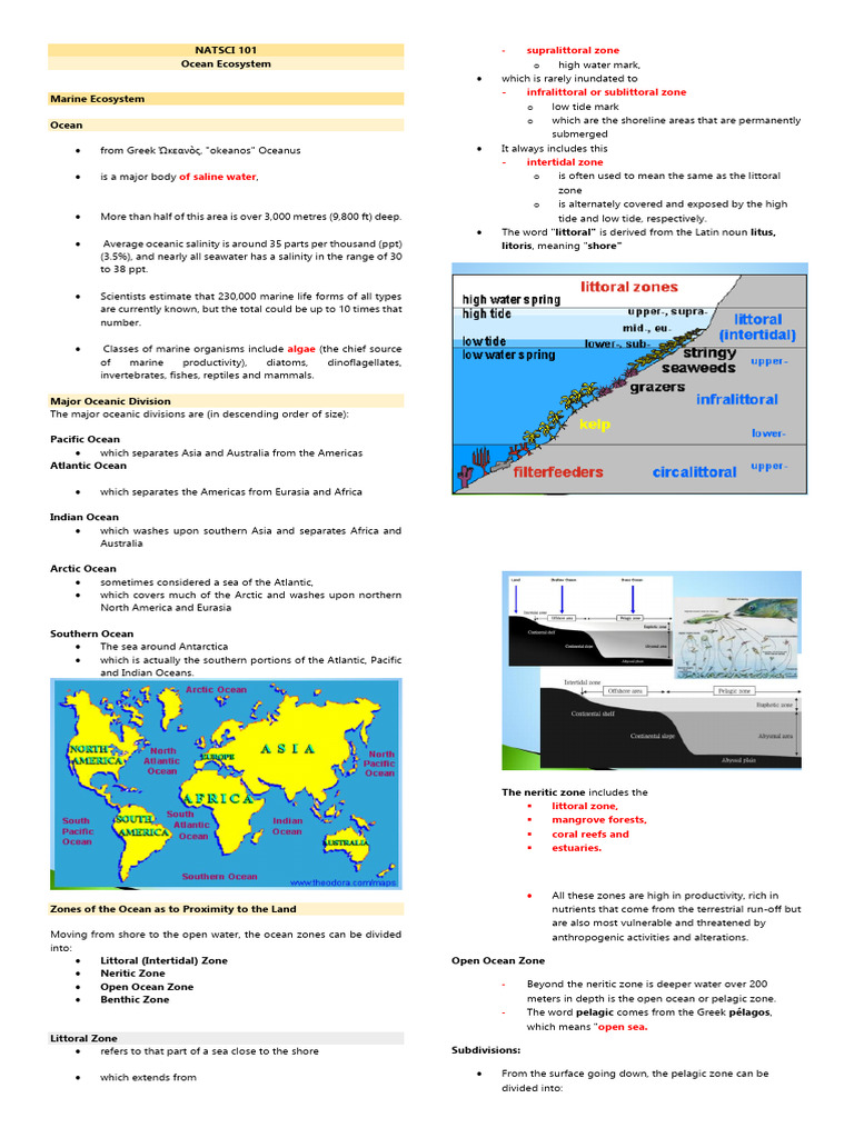 NATSCI Ocean Ecosystems | PDF | Coral Reef | Estuary