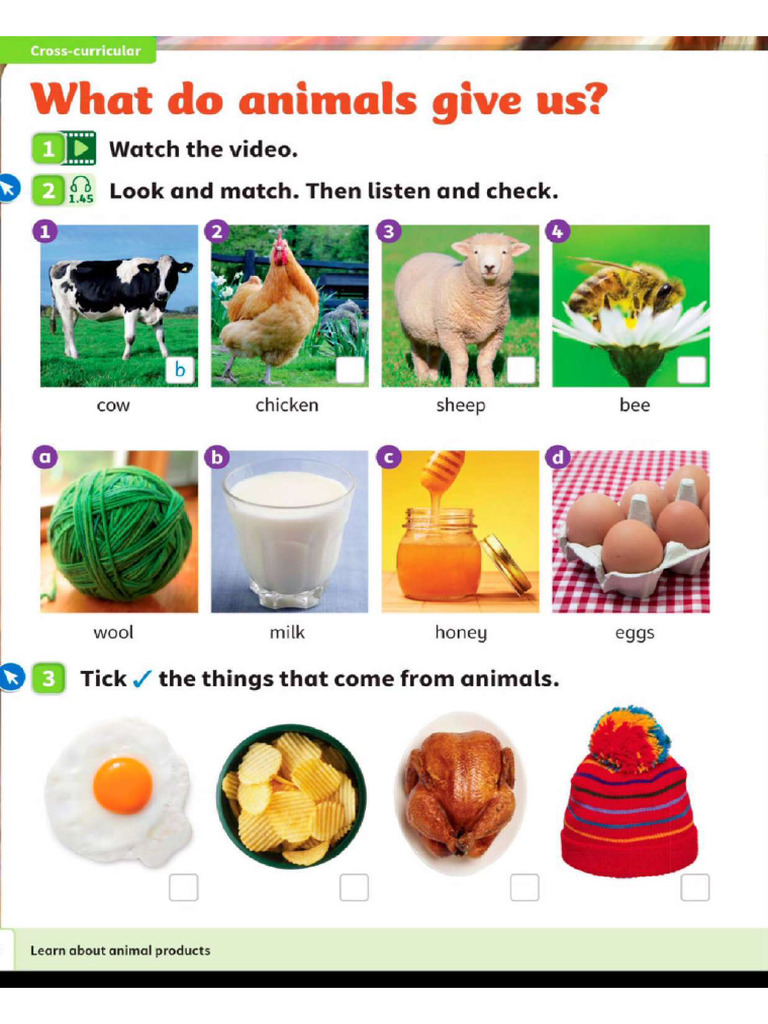 Extra Teaching Topics | PDF