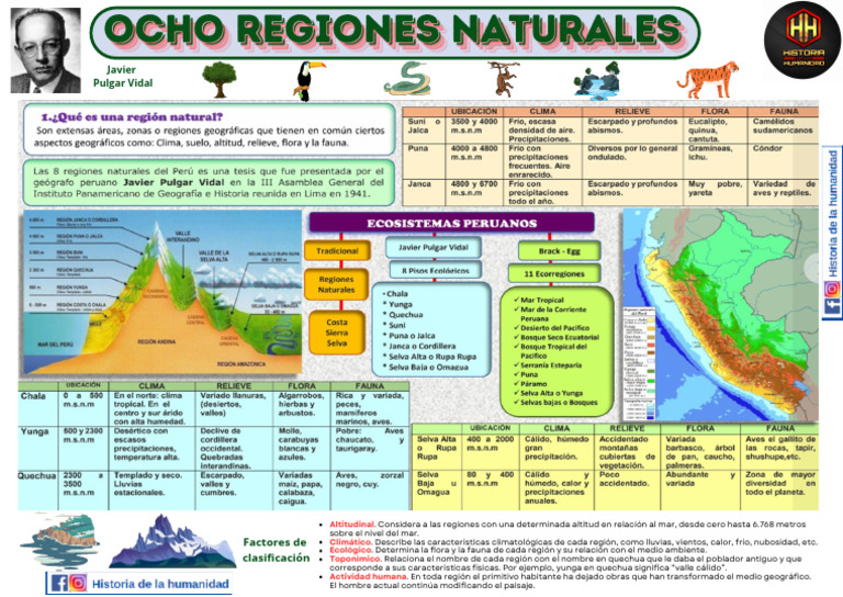 Ocho Regiones Naturales del Perú | PDF